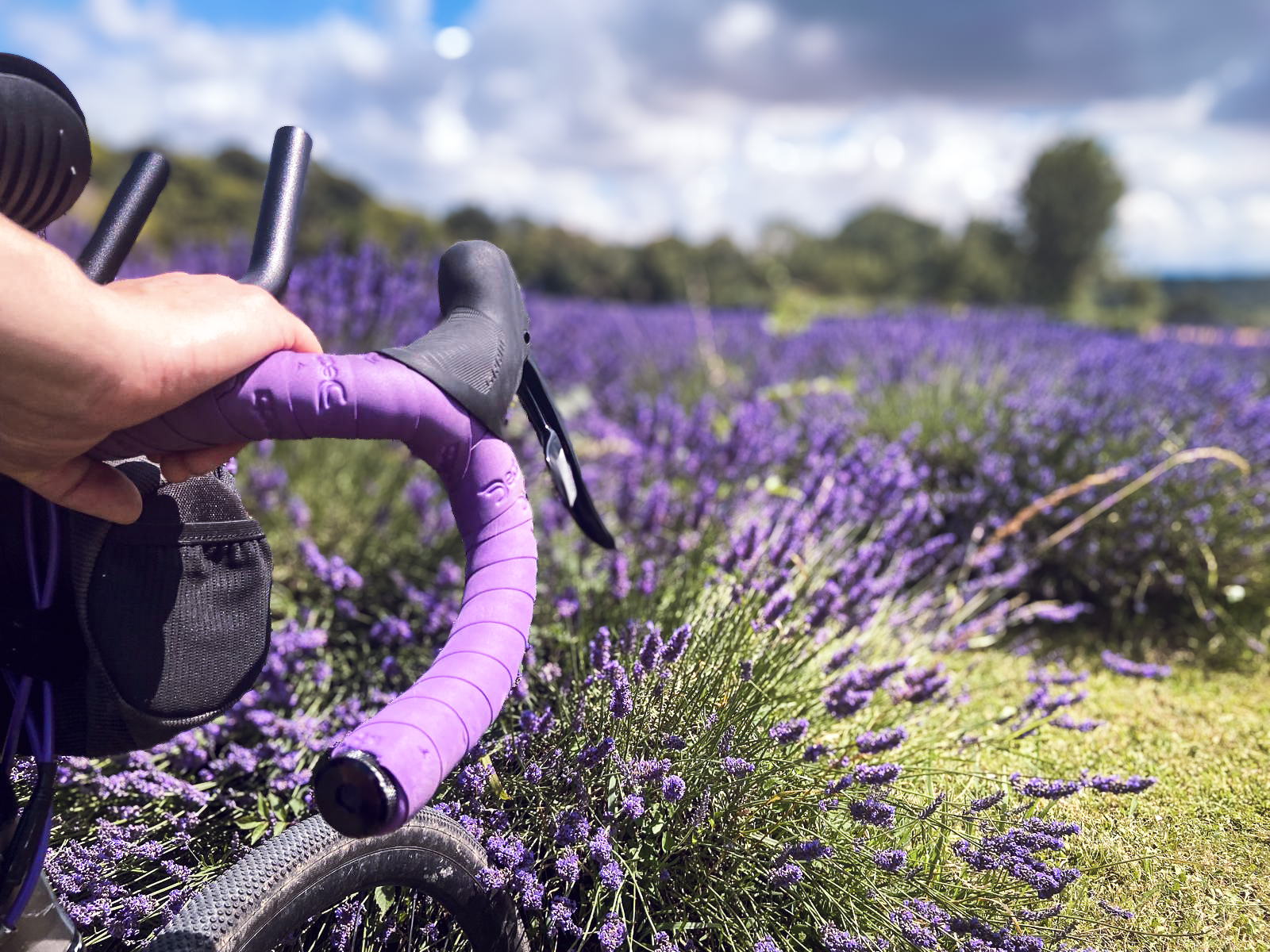 Photo gagnante du concours Bercé par le Loir 2024 (Nicolas Bonnet)